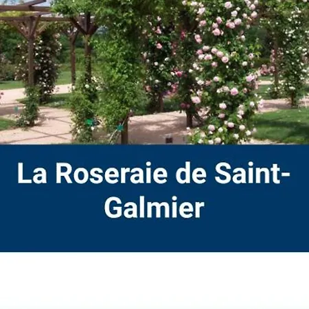 Authentique Et Confortable Avec Wifi, Parking Gratuit Et Cuisine Equipee A - Fr-1-496-276 *